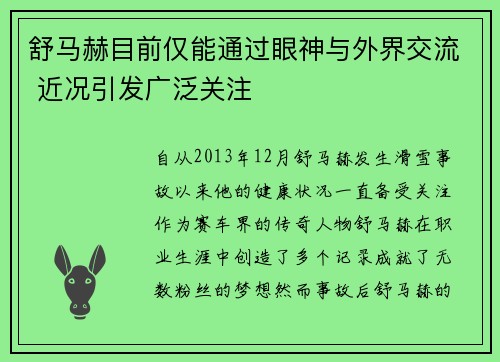 舒马赫目前仅能通过眼神与外界交流 近况引发广泛关注 舒马赫目前仅能通过眼神与外界交流 近况引发广泛关注