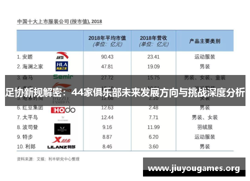 足协新规解密:44家俱乐部未来发展方向与挑战深度分析 足协新规解密:44家俱乐部未来发展方向与挑战深度分析