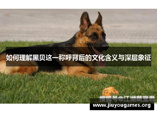 如何理解黑贝这一称呼背后的文化含义与深层象征 如何理解黑贝这一称呼背后的文化含义与深层象征